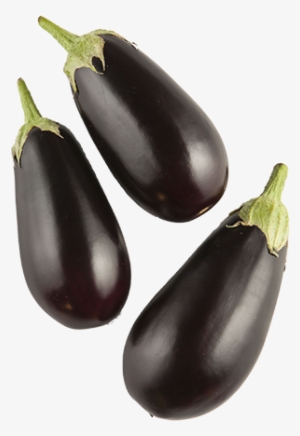 Mini Eggplant Purple - Eggplant #4411217