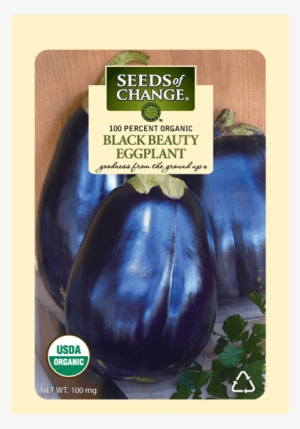 Organic Imperial Black Beauty Eggplant Seeds - Seeds Of Change S11018 Certified Organic Imperial Black #4411301