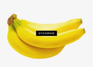 Banana Bananas - Saba Banana #4411567