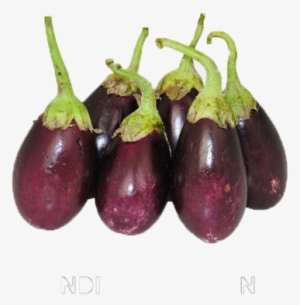 Eggplant #4411640
