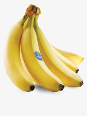 Chiquita Bananas - Chiquita Banana Png #4411802