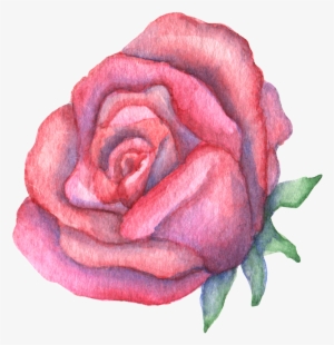 Hand Drawn A Big Red Rose Watercolor Transparent - Portable Network Graphics #4412683