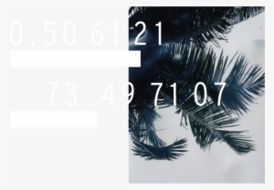 Main Pic Overlay Numbers - Number #4413279