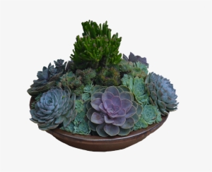 Large Succulent Arrangements - Succulent Arrangement Png #4413350