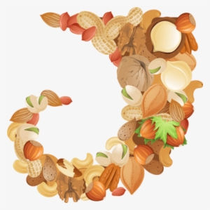 Free Png Nuts Png Images Transparent - قرقيعان سكرابز شفاف #4413751