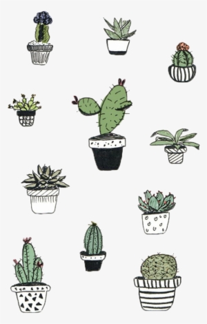 Cactaceae Cactus And Succulent Plant Others #4414019