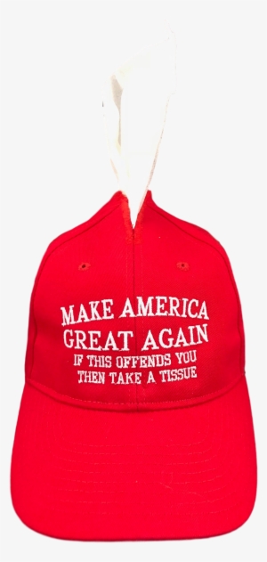 Easily Offended Tissue Hat Box Cover Make America Great - Baseball Cap #4414886
