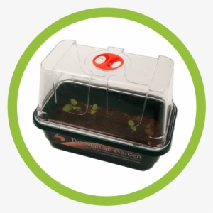 Cargarden - Martian Regolith Simulant #4415348