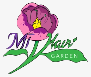 Garden Png #4415352
