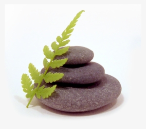 Zen Garden - Zen Garden Transparent #4415653