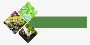 Garden There's A Fantastic Choice Of Plants In Our - Garden #4415720