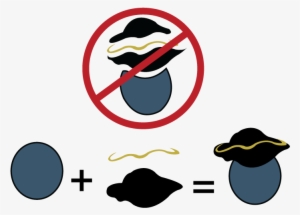 How To Vectorize The Pirate In Illustrator #4416487