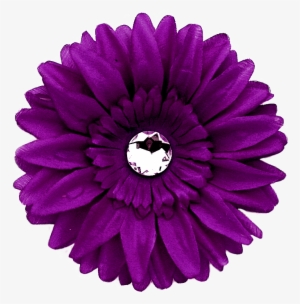 Go To Image - Purple Gerber Daisy Clip Art #4416594