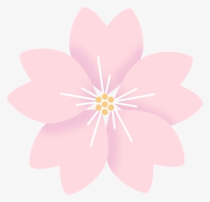 Flowers Cherry Blossom Sakura - Цветок Сакуры Пнг #4416796 Flowers Cherry Blossom Sakura - Цветок Сакуры Пнг #4416796