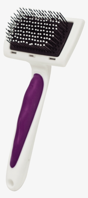 Pro-slicker Brush - Super Pet Kaytee Pro-slicker Brush Sid0hhs9t0 #4417253