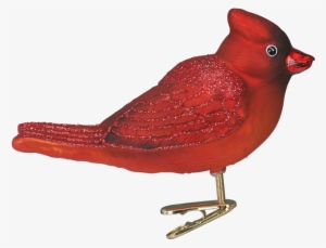 Red Winter Cardinal Ornament Clip - Christmas Ornament #4417466