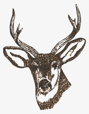 Reindeer Svg File - Free Deer #4417815
