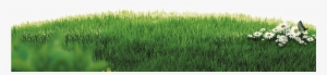 Motion Grass - Grass Vintage Png #4417816