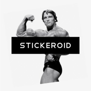 Arnold Schwarzenegger - Arnold Schwarzenegger Bodybuilder Mr Olympic Poster #4418669