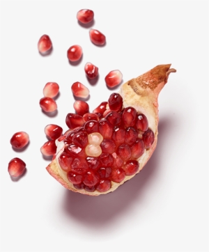 Pomegranate - Currant #4423041