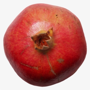 Pomegranate - Pluot #4423046