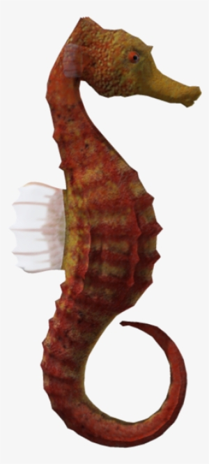 Seahorse Png Download - Portable Network Graphics #4424043