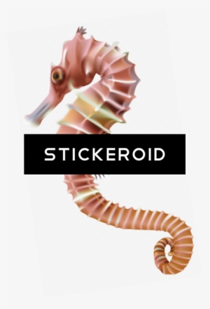 Seahorse Animals - Clip Art #4424329