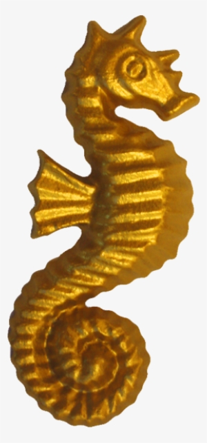 Seahorse Paperweight - Northern Seahorse #4424368