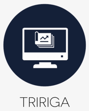 Tjene Website Updates #4424859