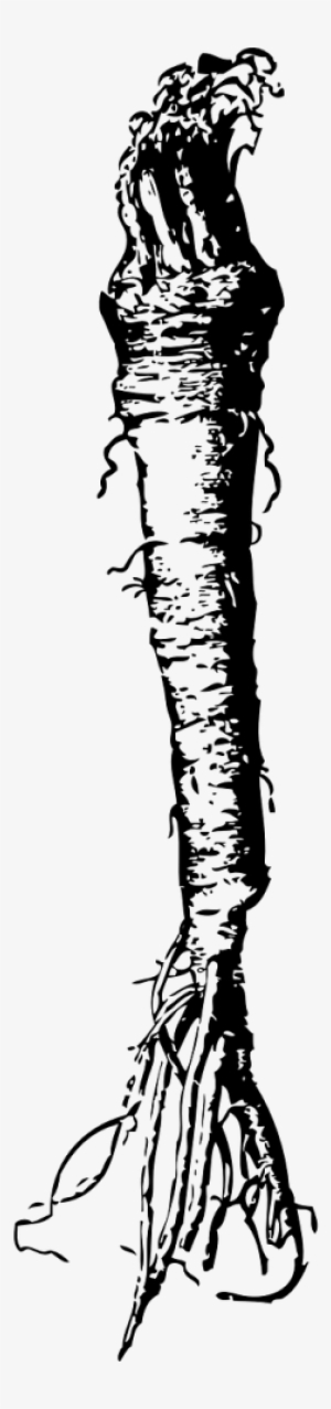 Horseradish Clipart #4424971