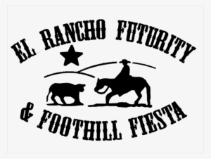 Grass Hay - El Rancho Inc. #4425197