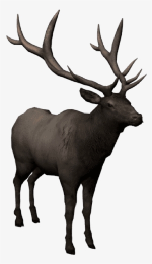 Free Png Moose Png Images Transparent - Barren Ground Caribou #4426312