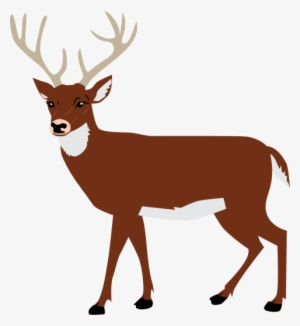Free Png Moose Png Images Transparent - Deer Svg #4426651