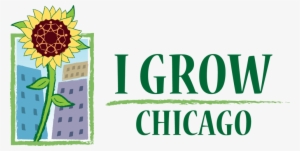 I Grow Chicago #4429350