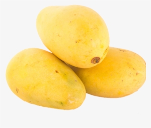 Buy Safeda Mango In Gurgaon - Gurugram #4429422