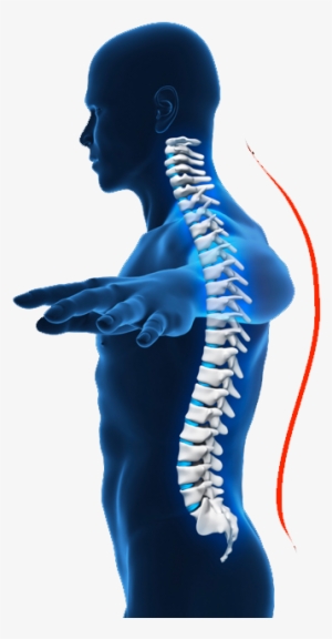 Spine - Squat #4431746