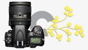 With Your Photography, Videography, Design And Marketing - Nikon D800 36.3 Mp Slr - Body Only #4432720
