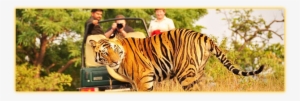 111 - Places To Visit Near Ranthambore #4433325