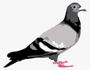 Staple Pigeon - Staple Pigeon Logo #4435046