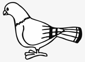 Original Png Clip Art File Pigeon For Coloringbook #4435077 Original Png Clip Art File Pigeon For Coloringbook #4435077