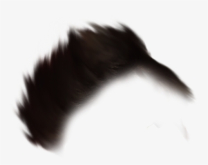 Hair Png - Echidna #4436444