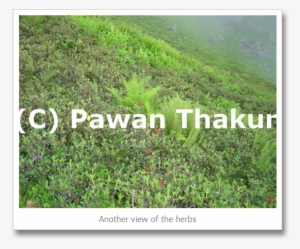 Valley Views On Shrikhand Mahadev Yatra - Shrikhand Mahadev Kailash Yatra #4436636