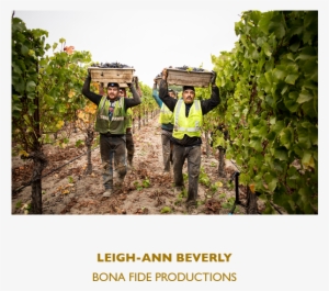 Leigh Ann Beverly - Locus Wine Consulting #4437010