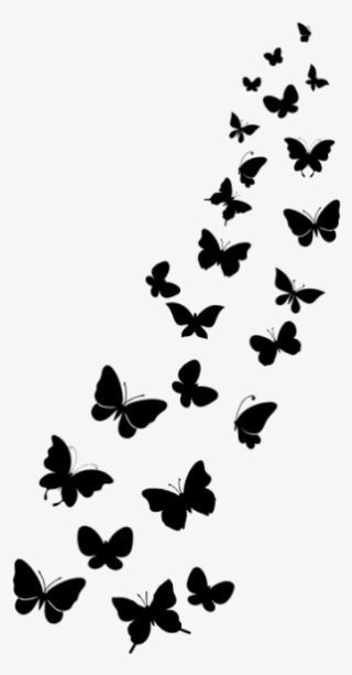 Display All Pictures - Wall Sticker Beautiful Butterflies #4438265