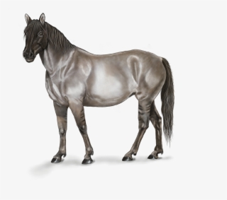 Horse Art Digital Artwork Png Image - Horse #4440635