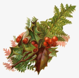 Algunos Adornos Con Muérdago Vintage Para Decorar Y #4440969