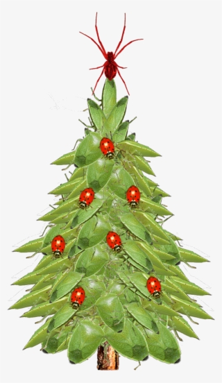 Christmas Tree Closeup - Xmas Tree #4441783