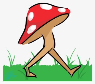 Pepe - Mushroom #4442145