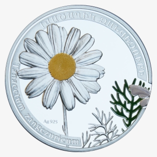 Chamomile Png 13, Buy Clip Art - Armenia 2010 #4442514