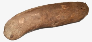 Yam Medium #4444102